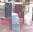 Another Earth Saving Drawstring Paper Bag